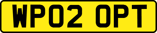 WP02OPT