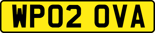 WP02OVA