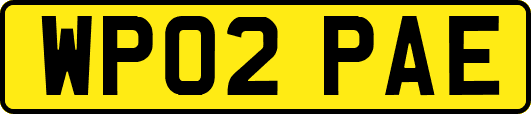 WP02PAE