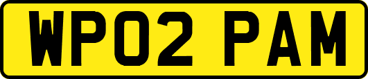 WP02PAM