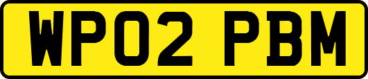 WP02PBM