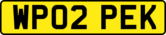 WP02PEK