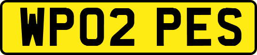WP02PES