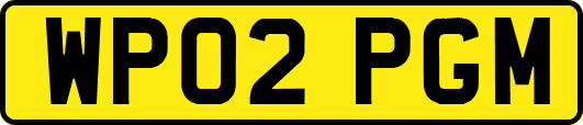 WP02PGM