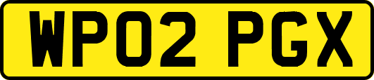 WP02PGX