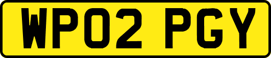 WP02PGY