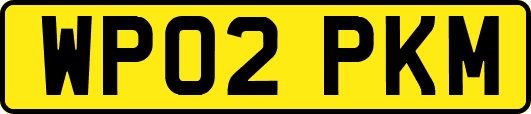 WP02PKM