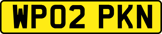 WP02PKN