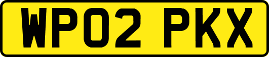 WP02PKX