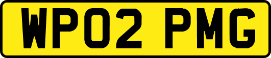 WP02PMG