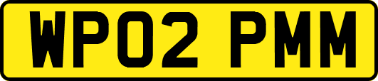 WP02PMM