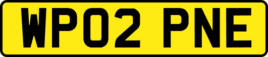WP02PNE