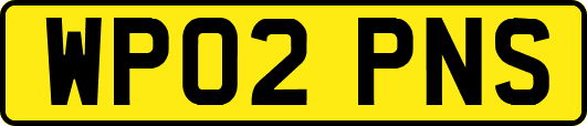WP02PNS