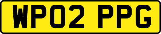 WP02PPG