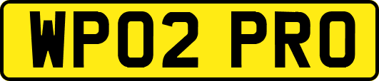 WP02PRO