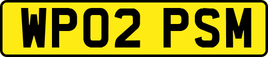 WP02PSM