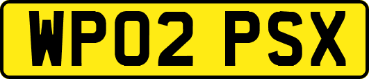 WP02PSX