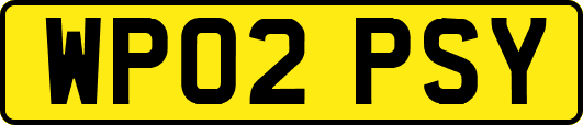 WP02PSY