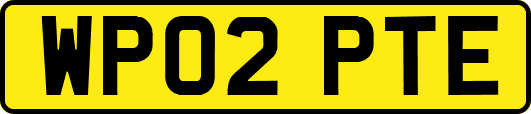 WP02PTE