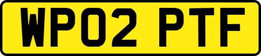 WP02PTF