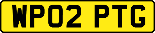 WP02PTG