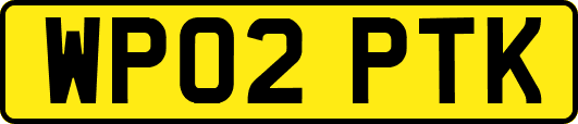 WP02PTK
