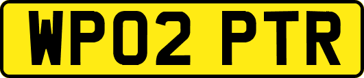 WP02PTR