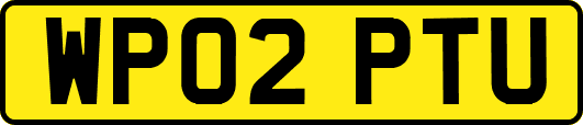 WP02PTU