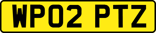 WP02PTZ