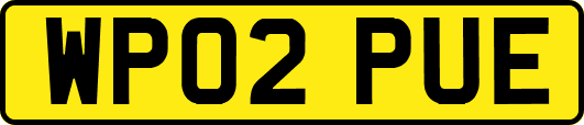 WP02PUE