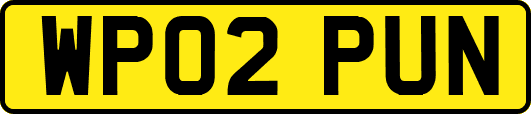 WP02PUN