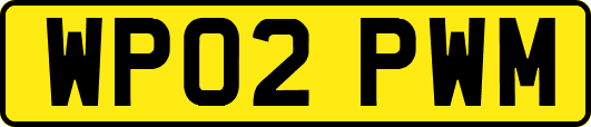 WP02PWM