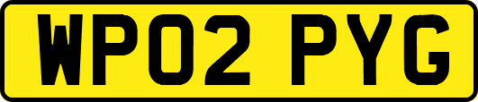 WP02PYG