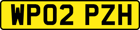 WP02PZH