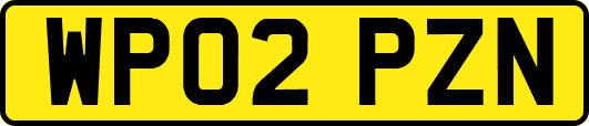 WP02PZN