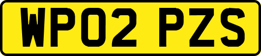 WP02PZS