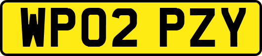 WP02PZY