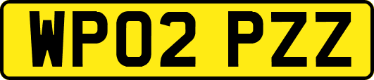 WP02PZZ