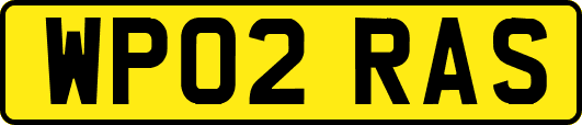 WP02RAS