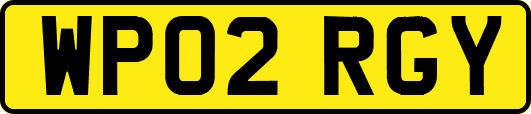 WP02RGY
