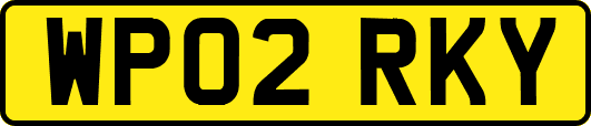 WP02RKY