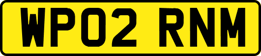 WP02RNM