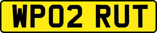 WP02RUT