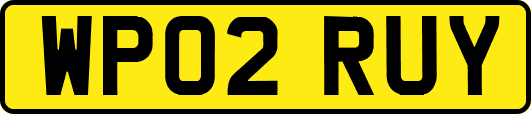 WP02RUY