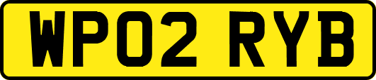 WP02RYB