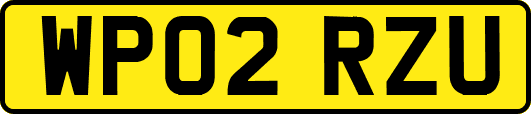 WP02RZU