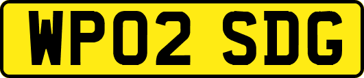 WP02SDG