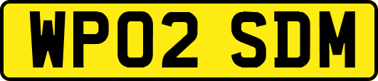 WP02SDM