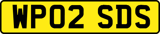 WP02SDS