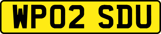 WP02SDU